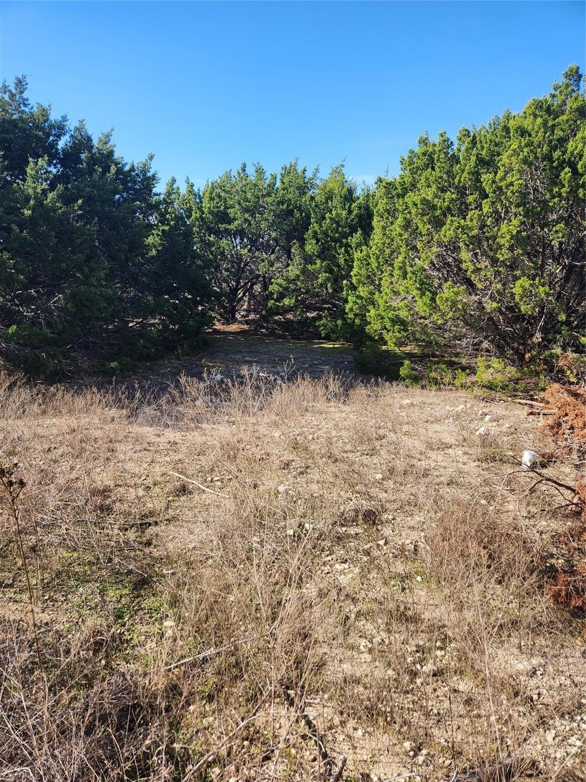 1.22 acres in Johnson County featured view