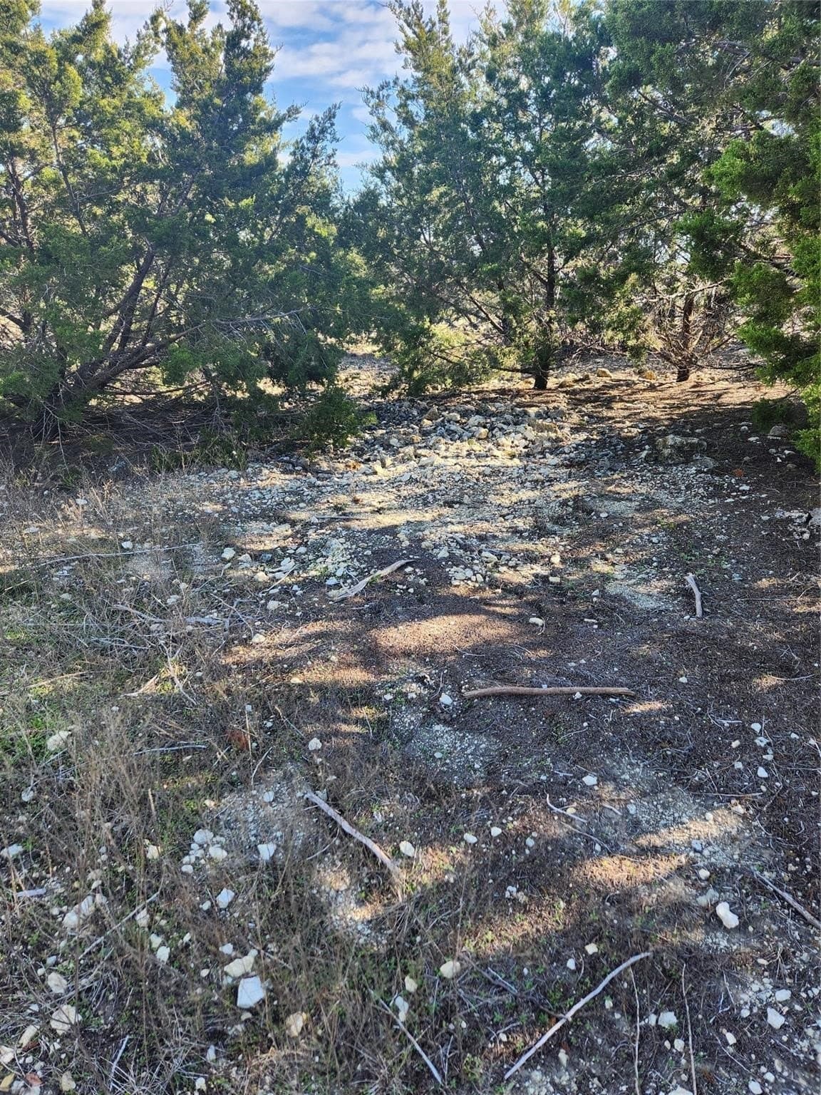 1.22 acres in Johnson County - photo 20