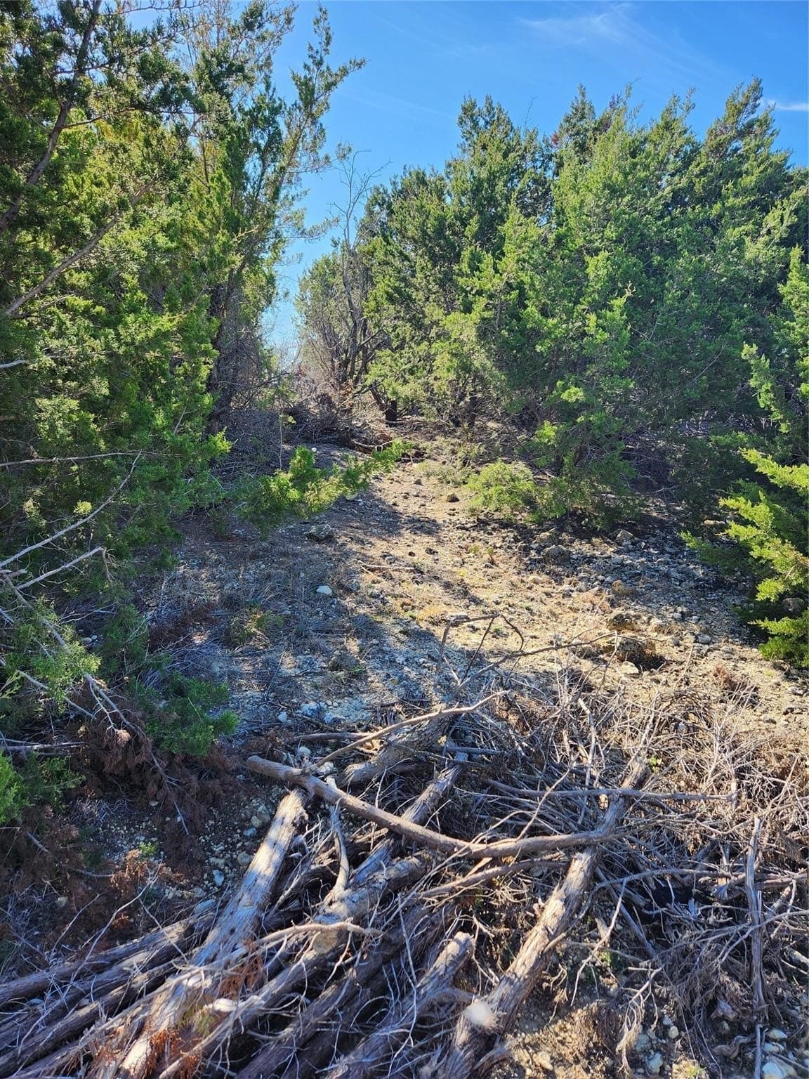 1.22 acres in Johnson County - photo 15