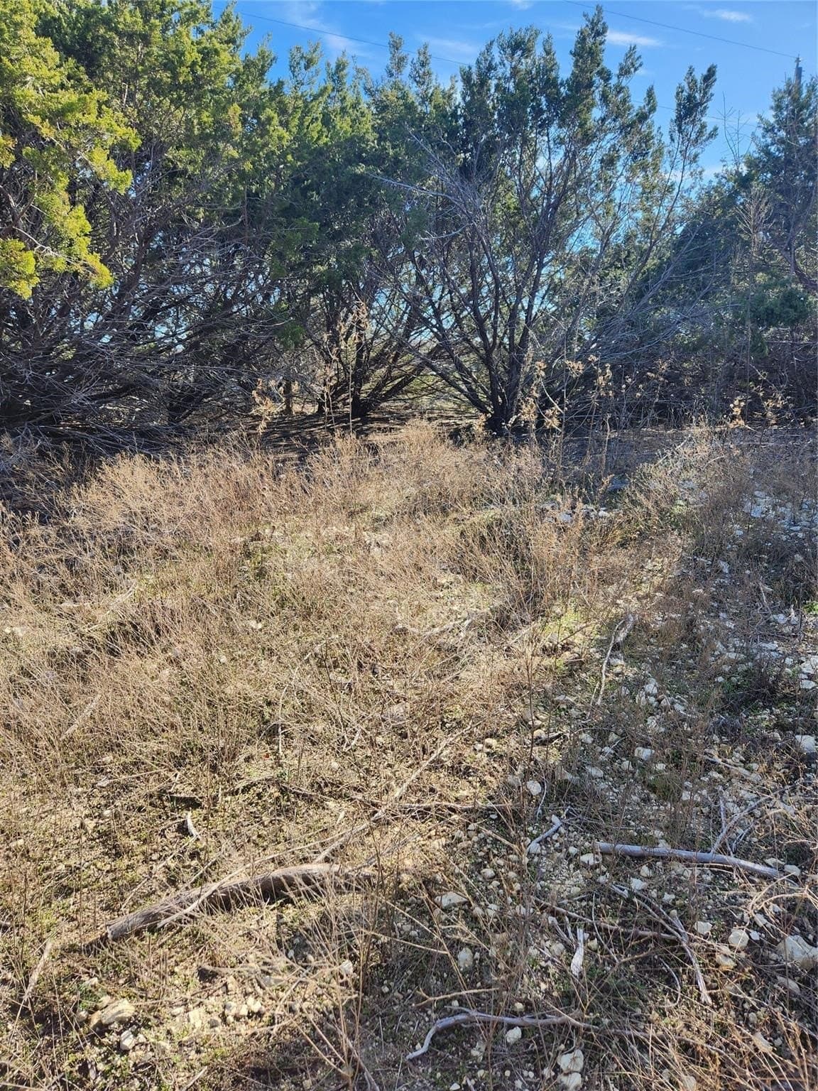 1.22 acres in Johnson County - photo 12
