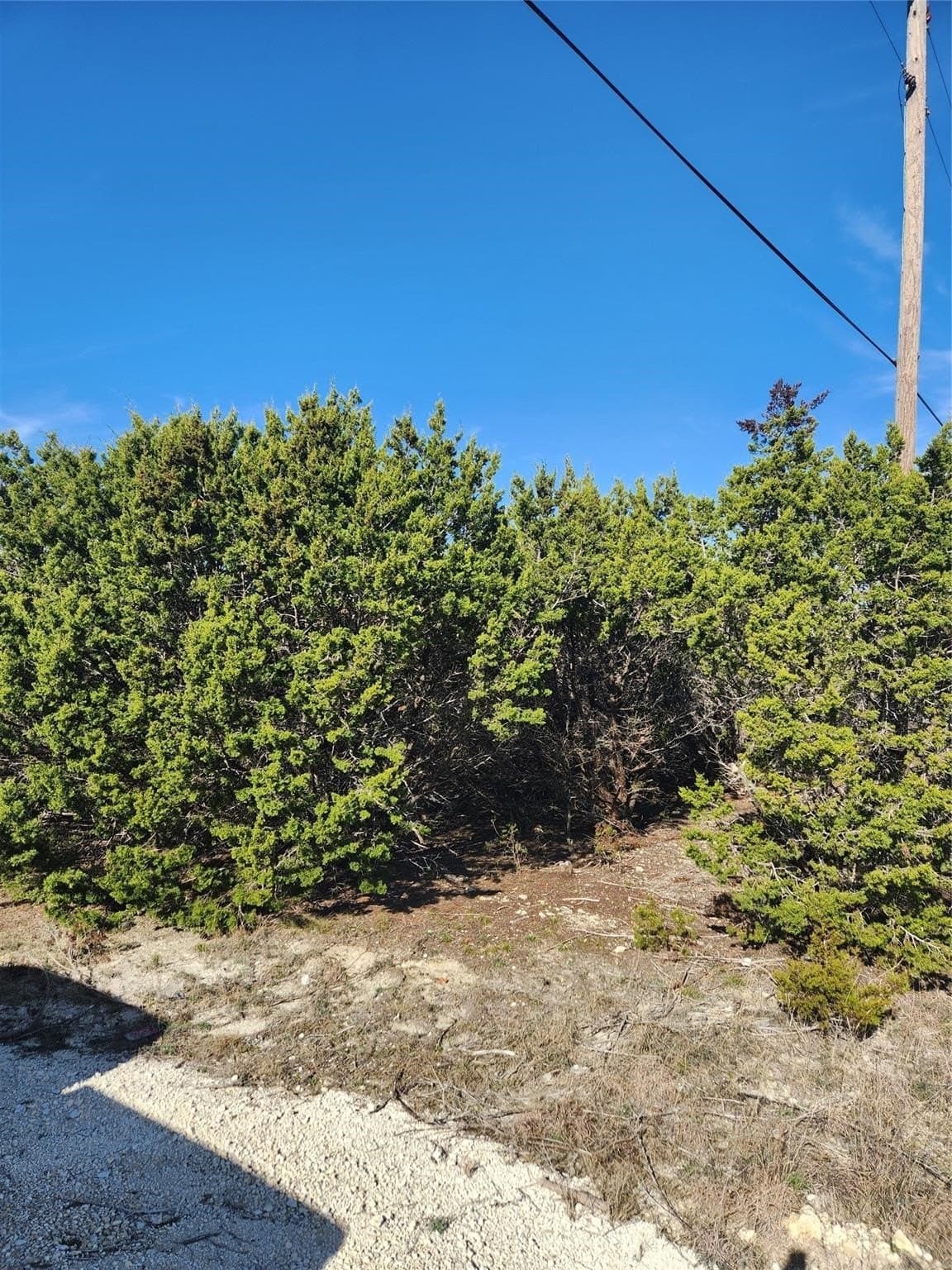 1.22 acres in Johnson County - photo 14