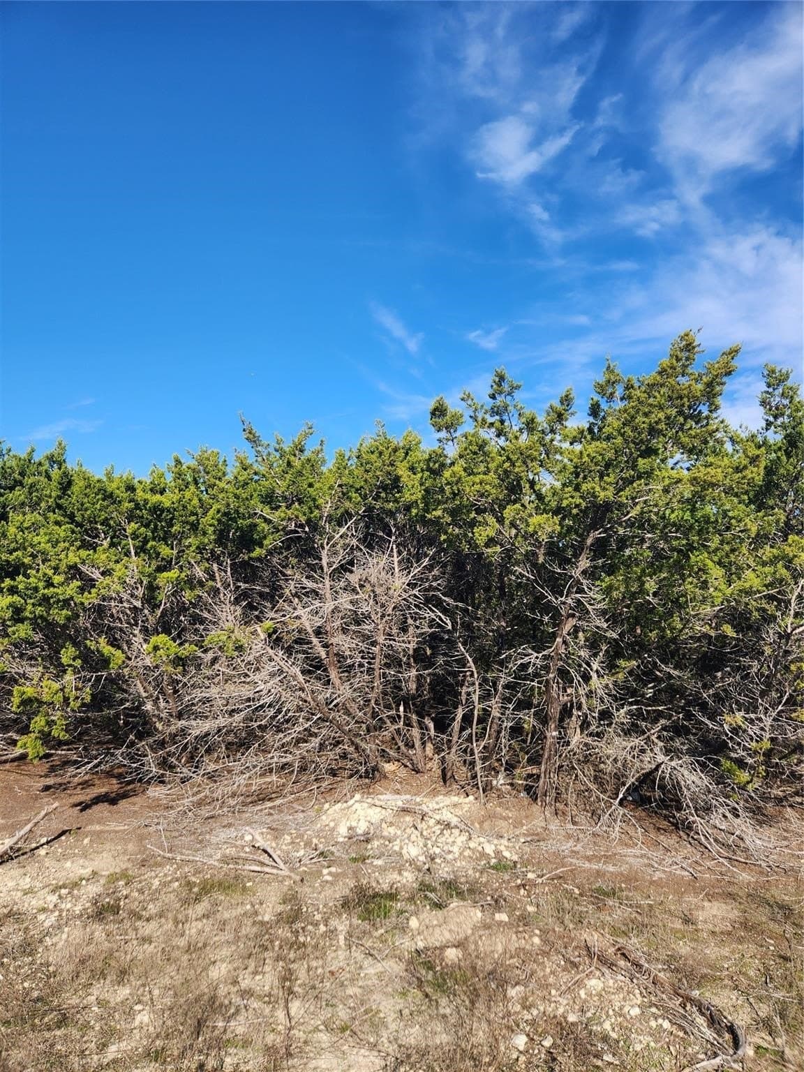 1.22 acres in Johnson County - photo 11