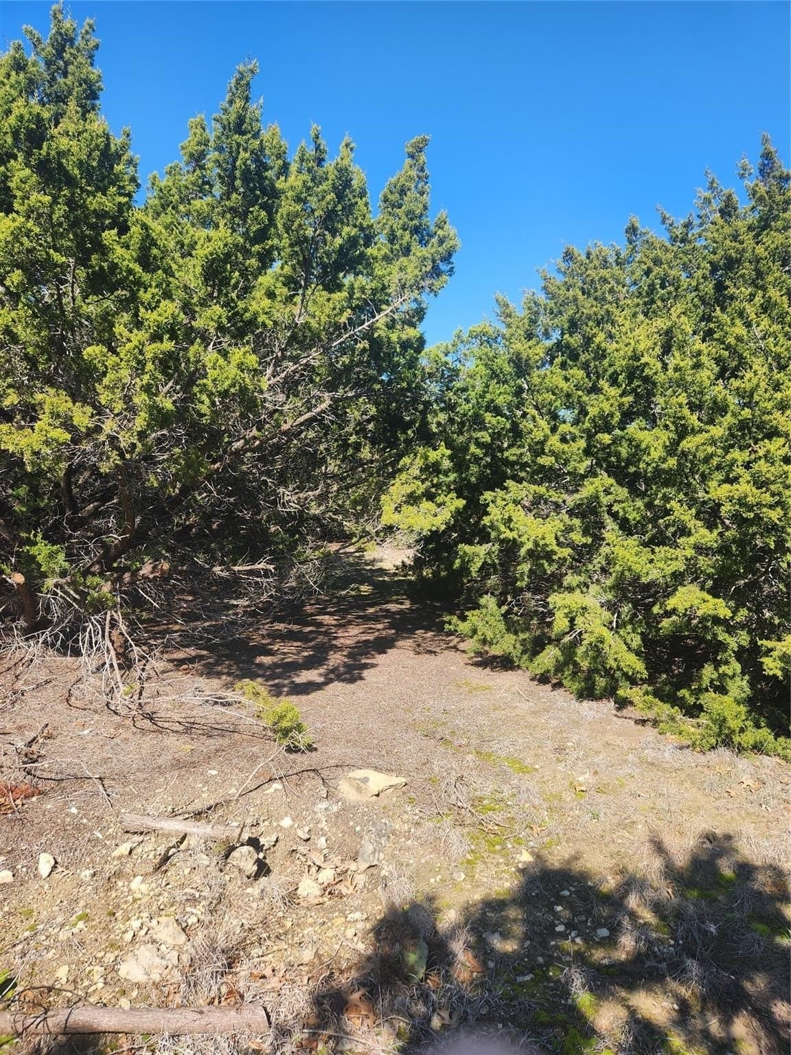 1.22 acres in Johnson County - photo 6