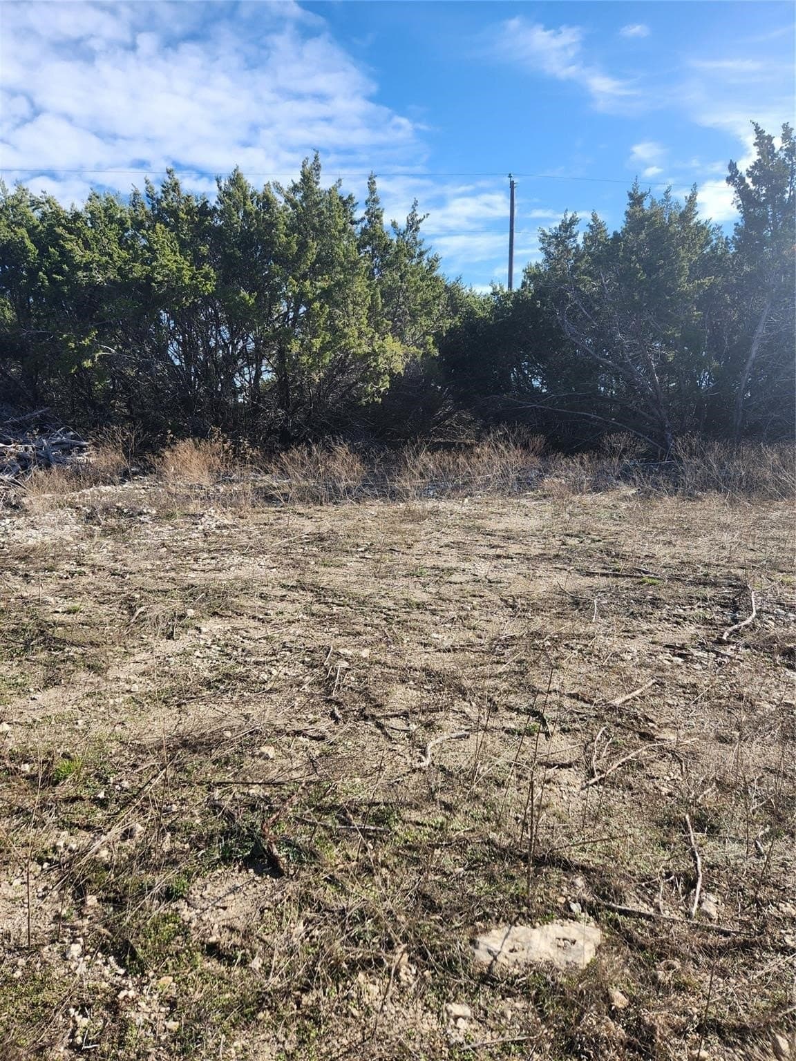 1.22 acres in Johnson County - photo 9