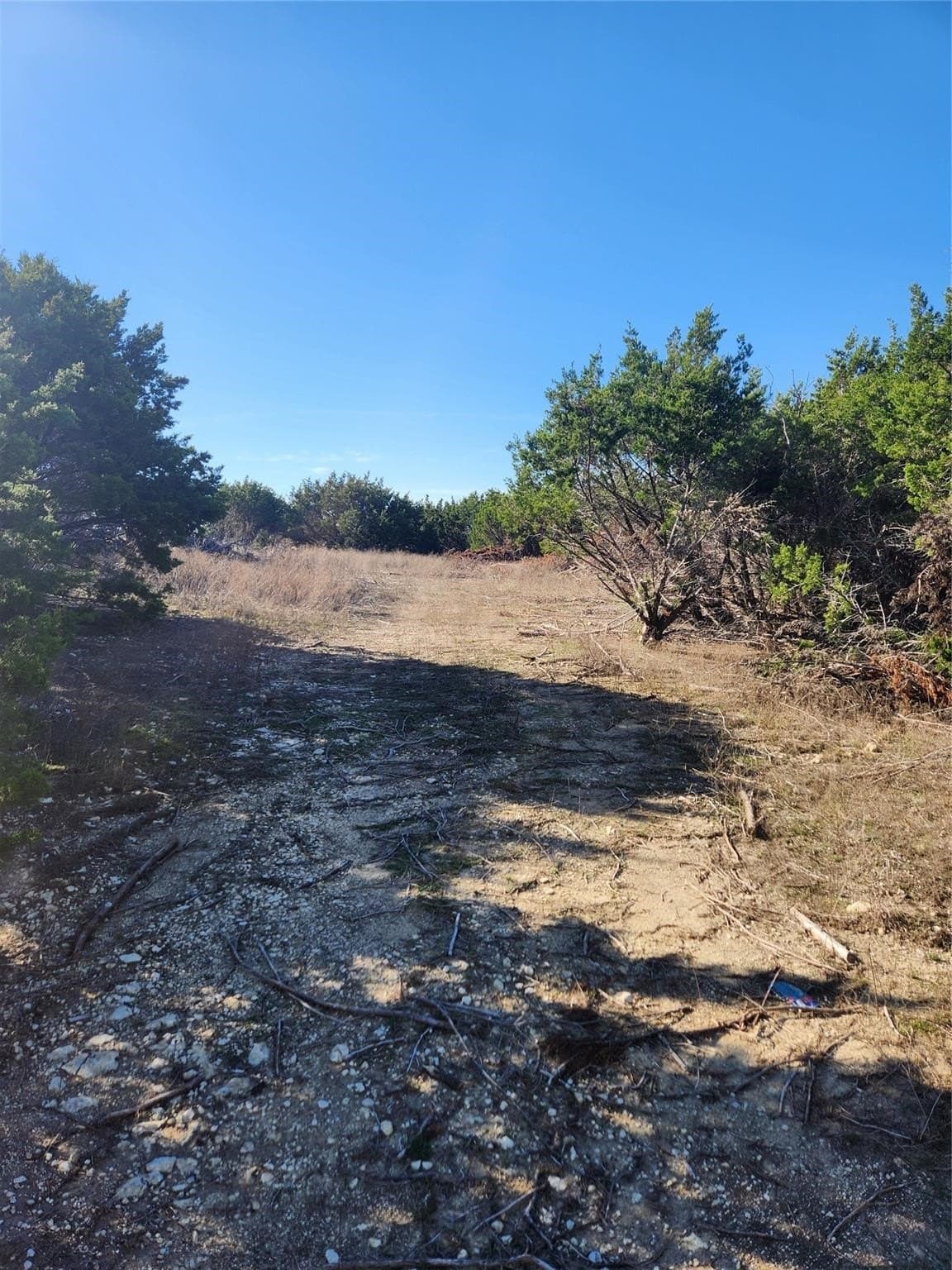 1.22 acres in Johnson County - photo 8