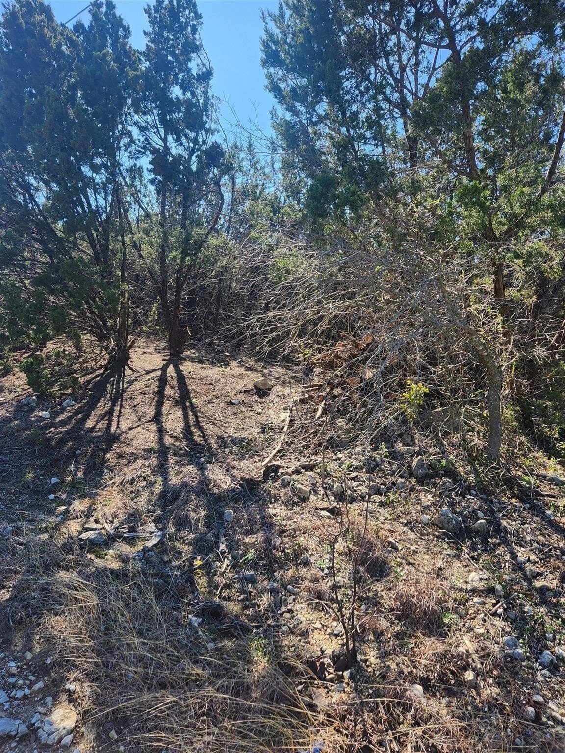 1.22 acres in Johnson County gallery image 4