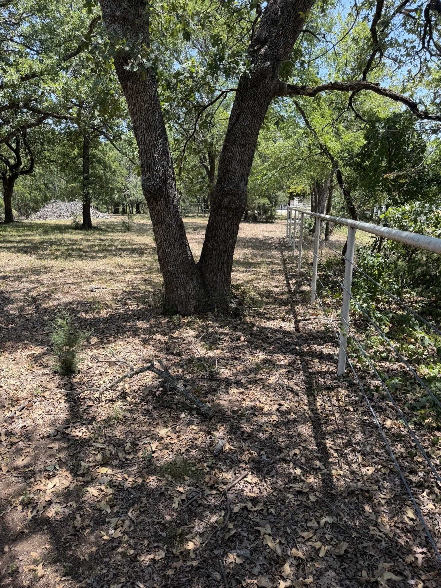 2.1 acres in Denton County - photo 6