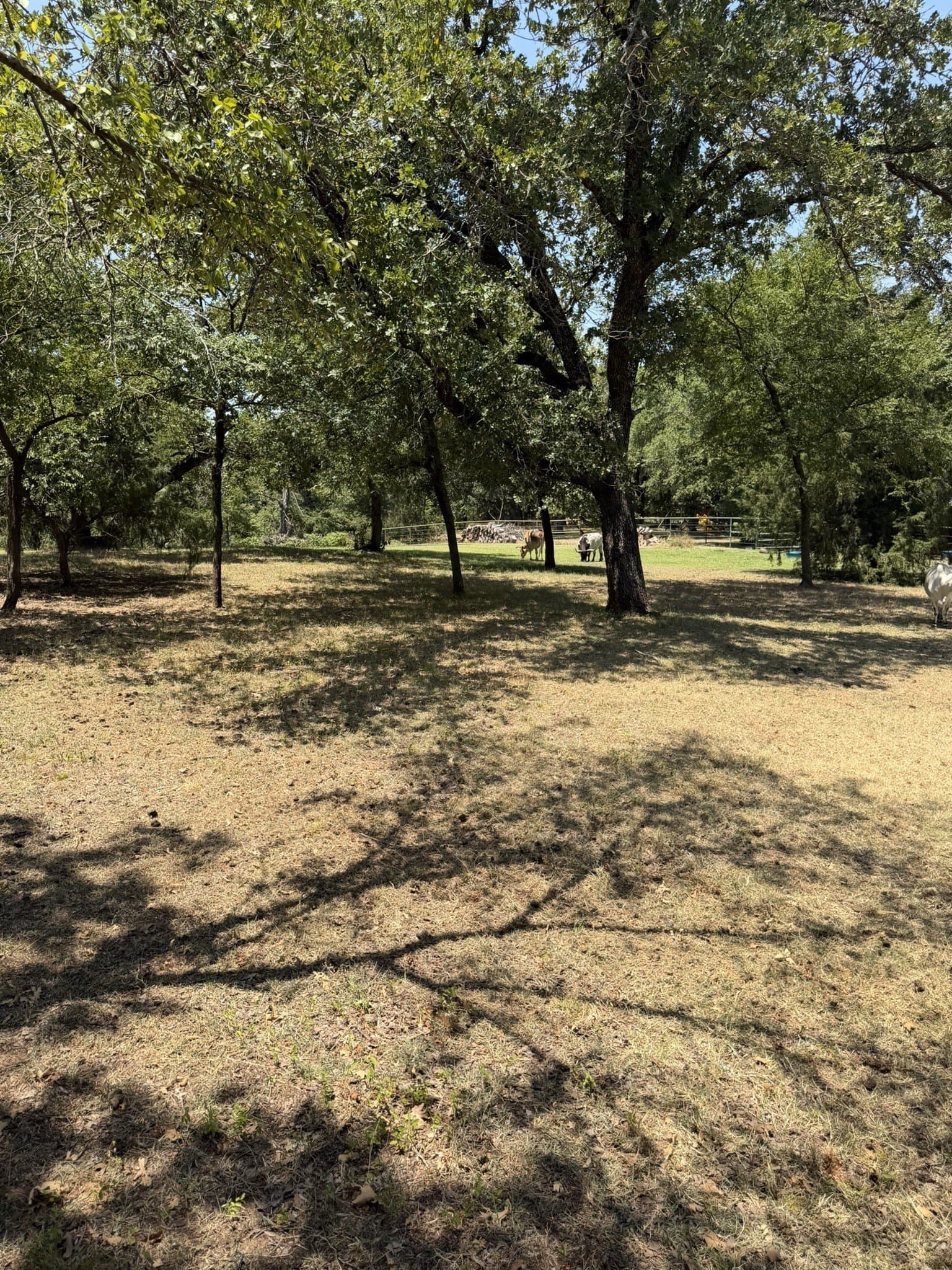 2.1 acres in Denton County - photo 15