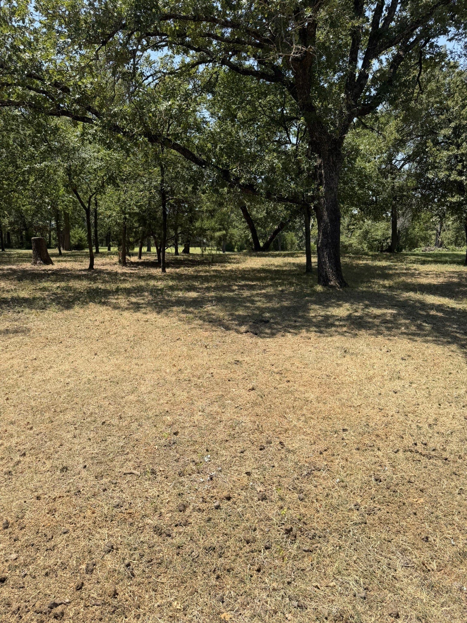 2.1 acres in Denton County - photo 13