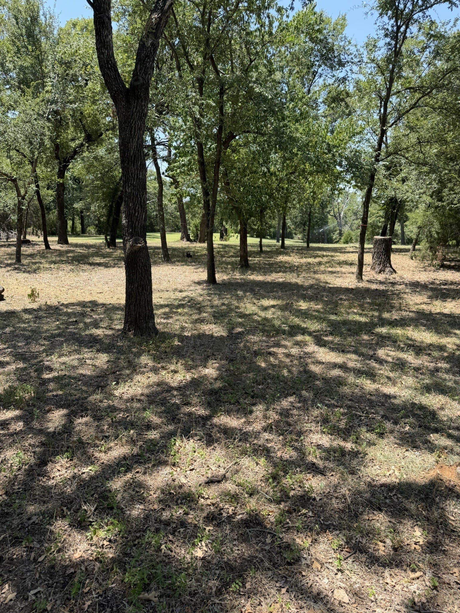 2.1 acres in Denton County - photo 14