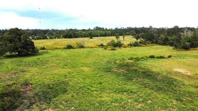 19.34 acres in Texas County featured view