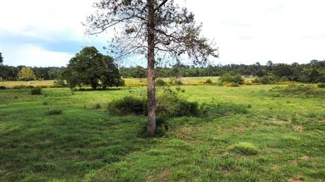 19.34 acres in Texas County gallery image 4