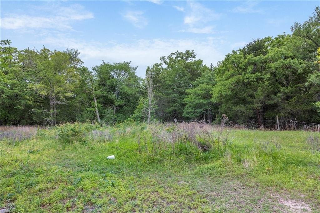 9.86 acres in Brazos County gallery image 4