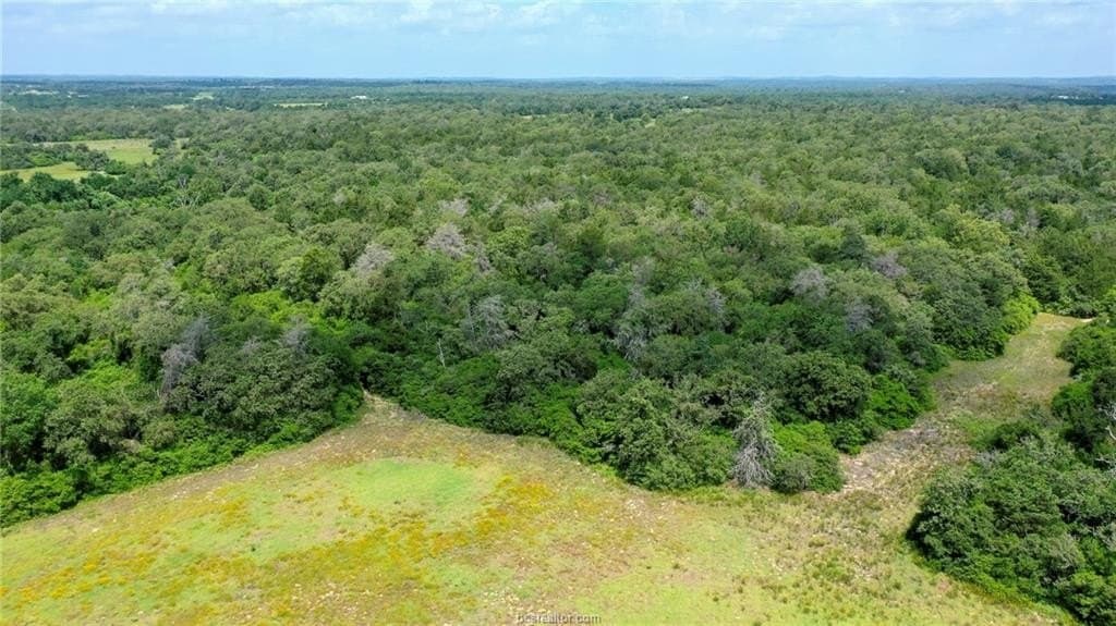 11 acres in Burleson County - photo 32