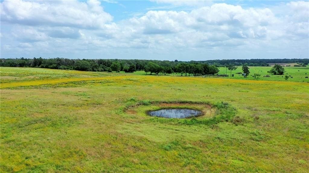 11 acres in Burleson County - photo 29