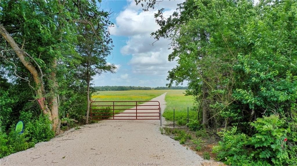11 acres in Burleson County - photo 13