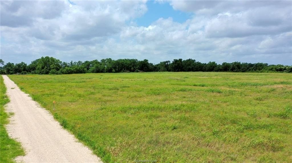 11 acres in Burleson County - photo 20