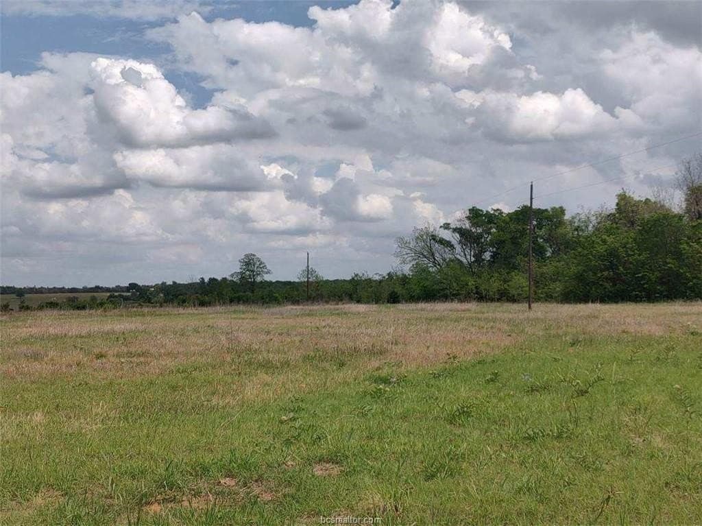 11 acres in Burleson County - photo 7