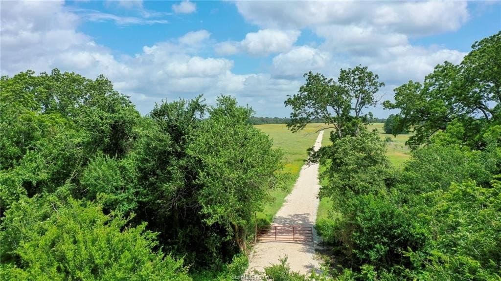 11 acres in Burleson County - photo 11
