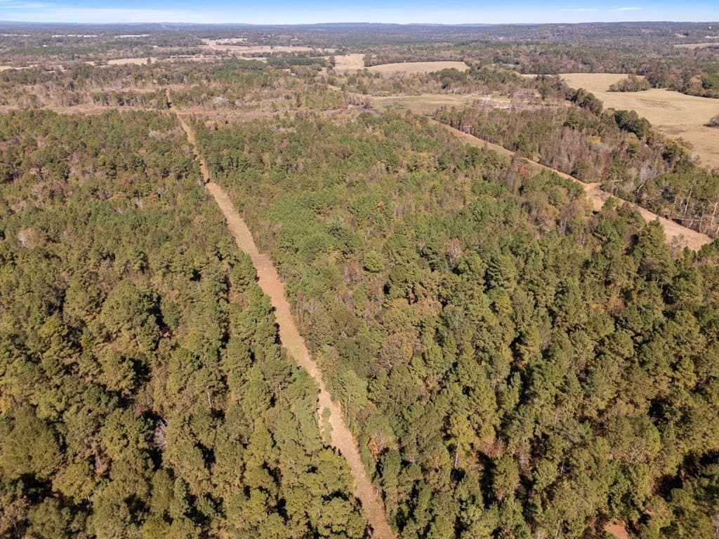 61 acres in Texas County featured view