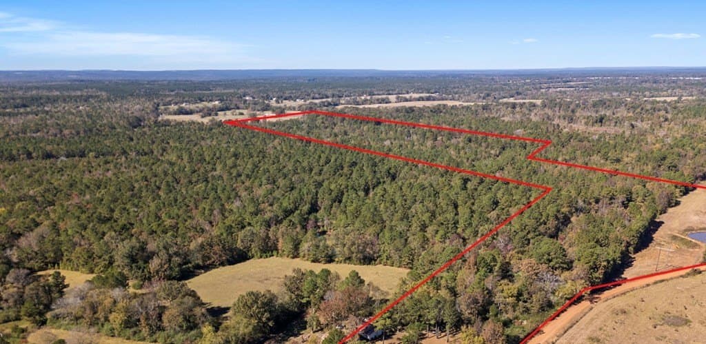 61 acres in Texas County gallery image 2