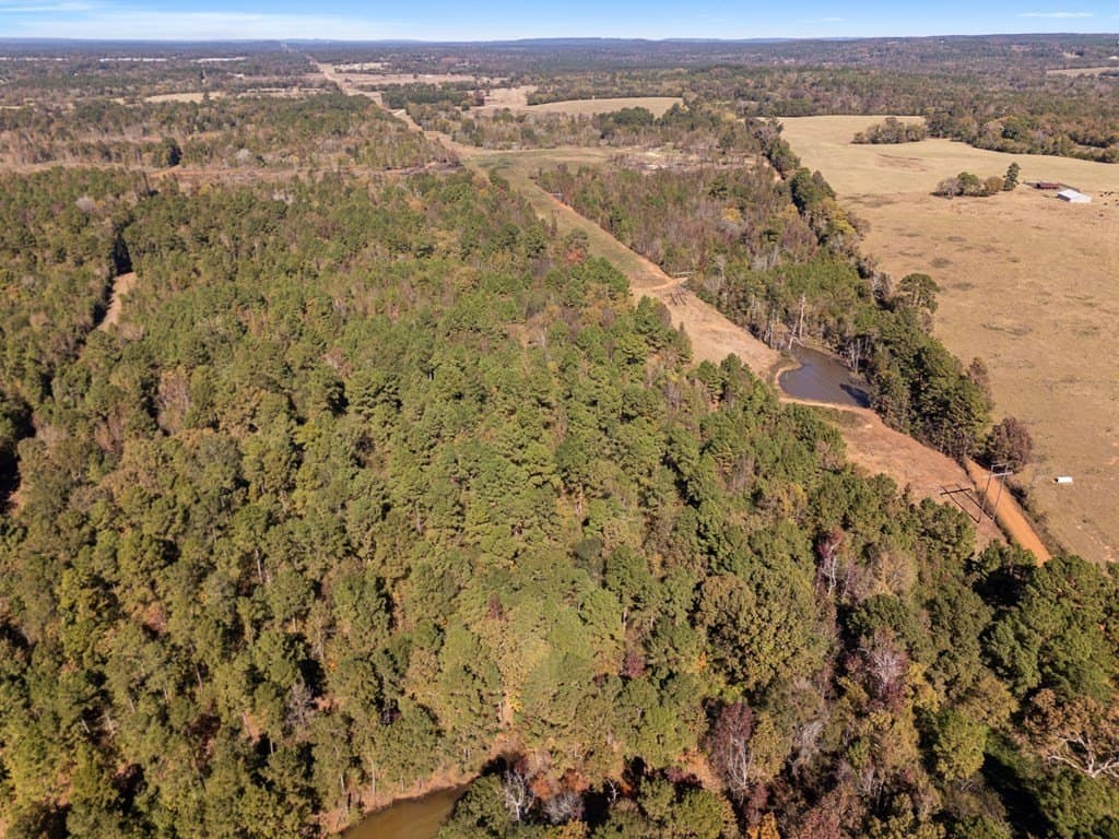 61 acres in Texas County - photo 6