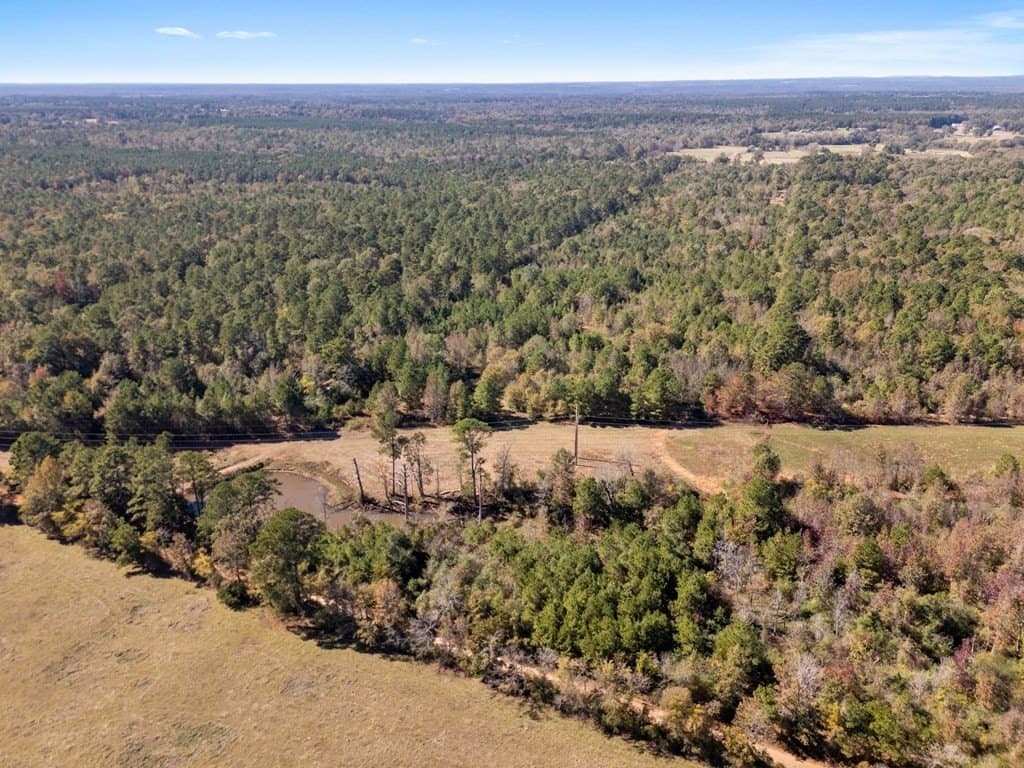 61 acres in Texas County - photo 8
