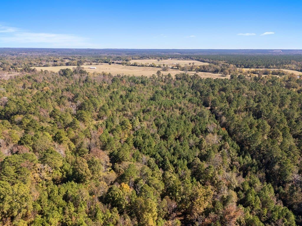 61 acres in Texas County - photo 9