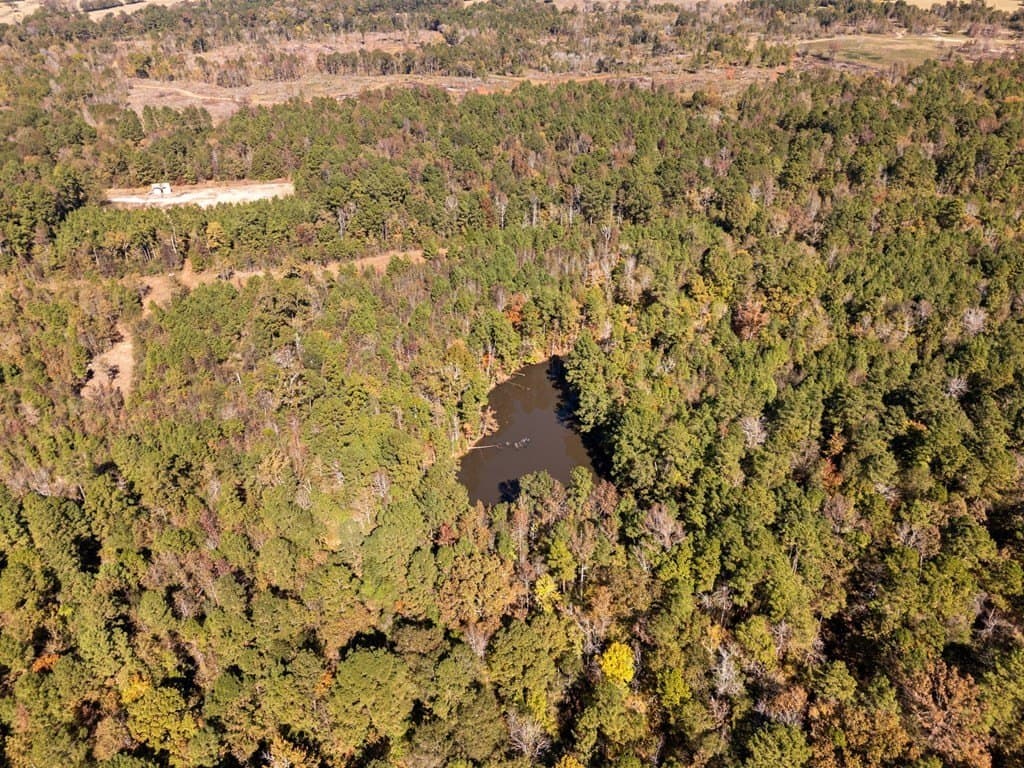 61 acres in Texas County gallery image 3