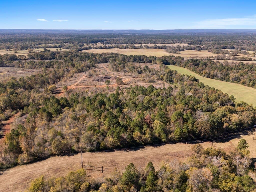 61 acres in Texas County - photo 7