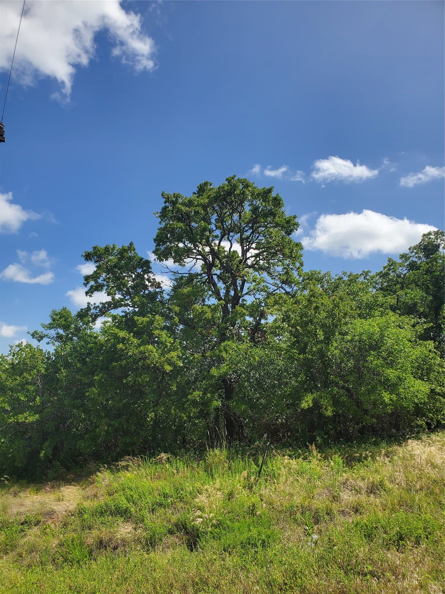 2.01 acres in Montague County - photo 2