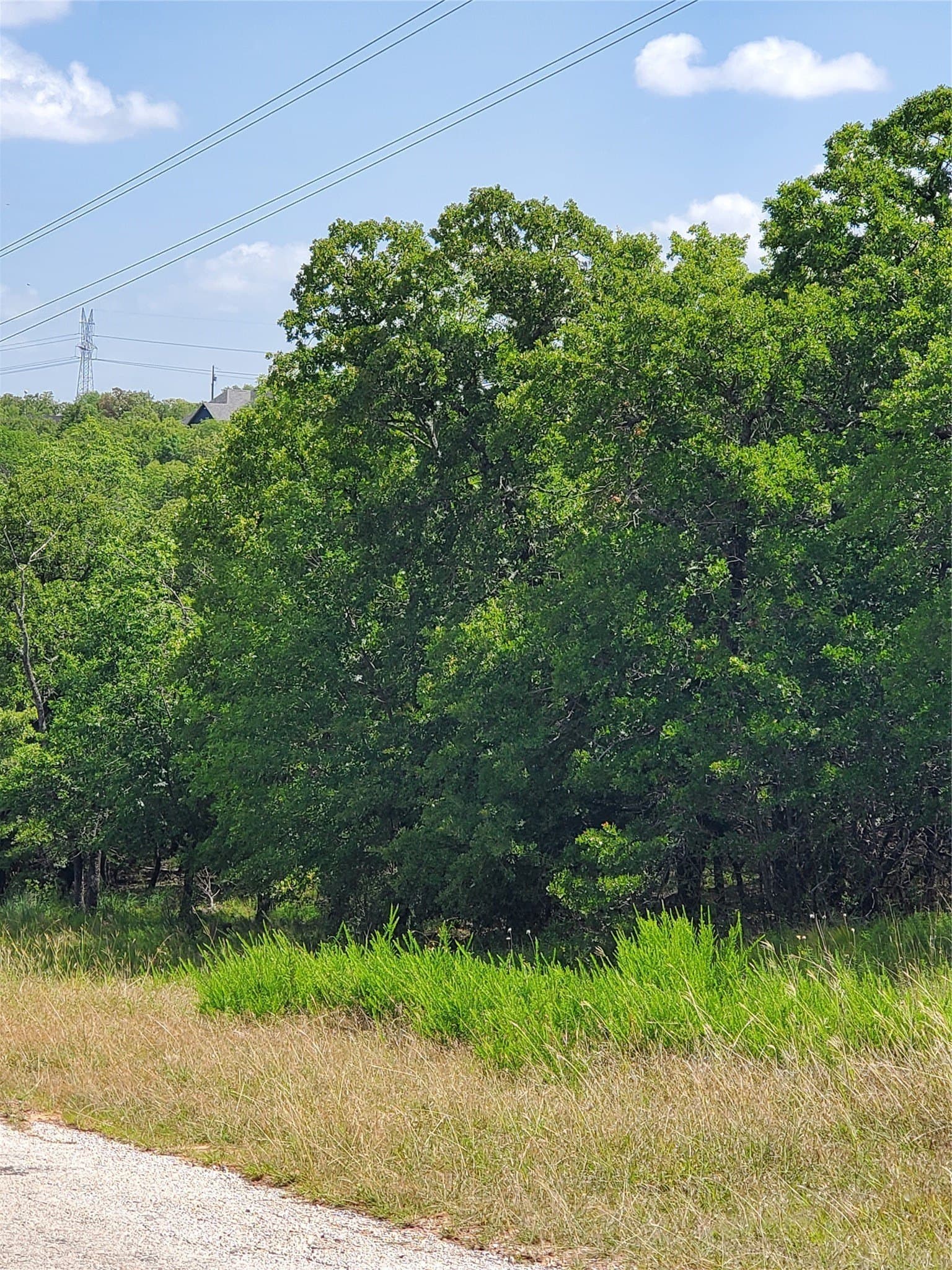 2.01 acres in Montague County - photo 4