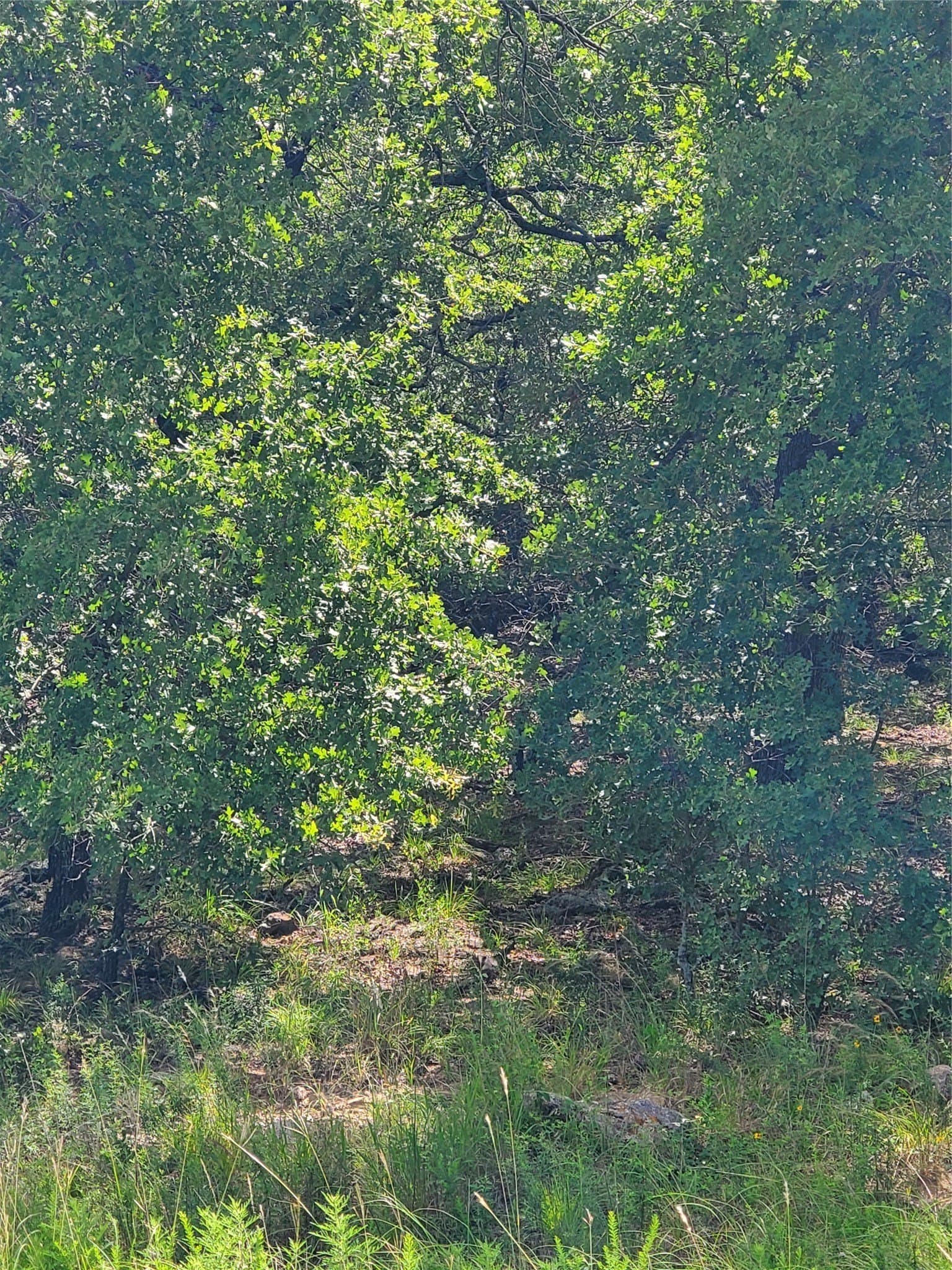 2.01 acres in Montague County - photo 11