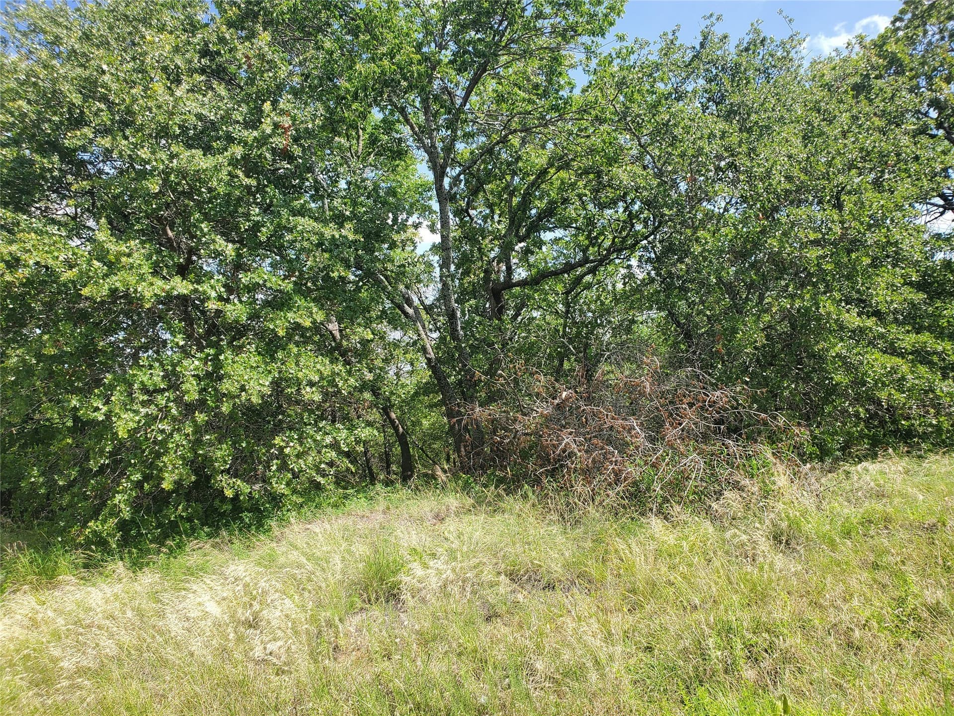 2.01 acres in Montague County - photo 7