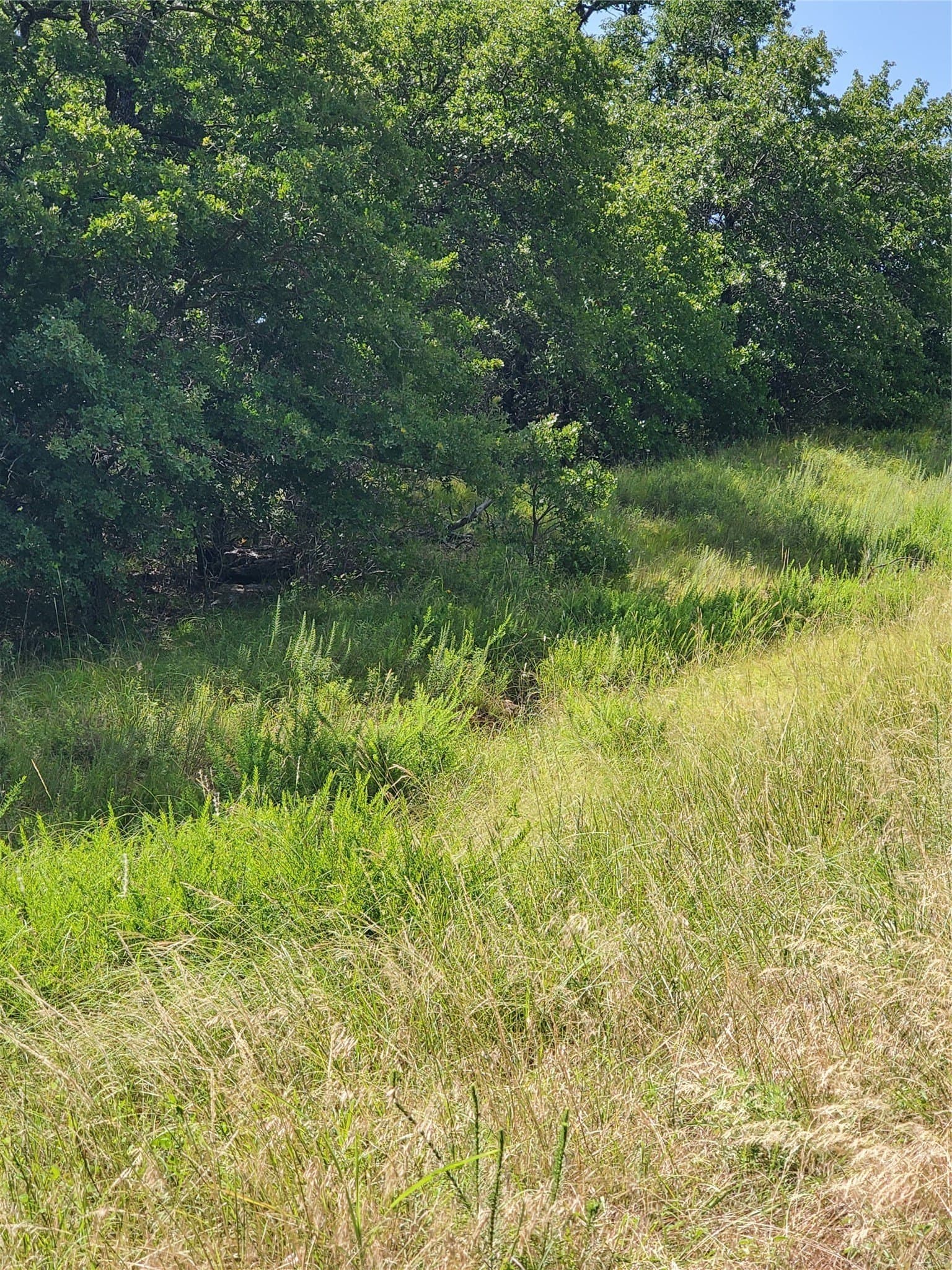 2.01 acres in Montague County - photo 9
