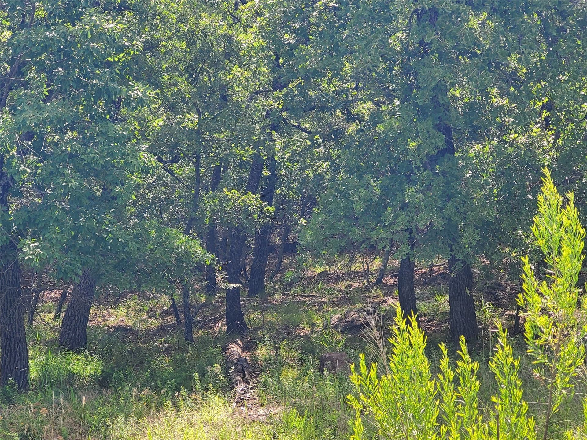 2.01 acres in Montague County - photo 3