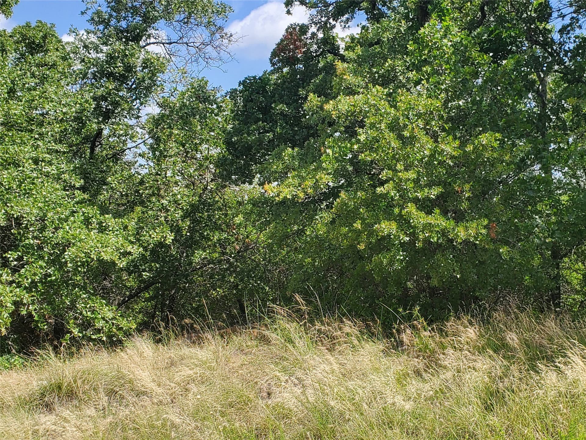 2.01 acres in Montague County - photo 5