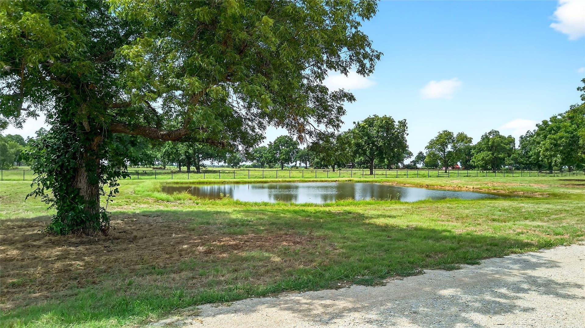 11 acres in Grayson County - photo 10