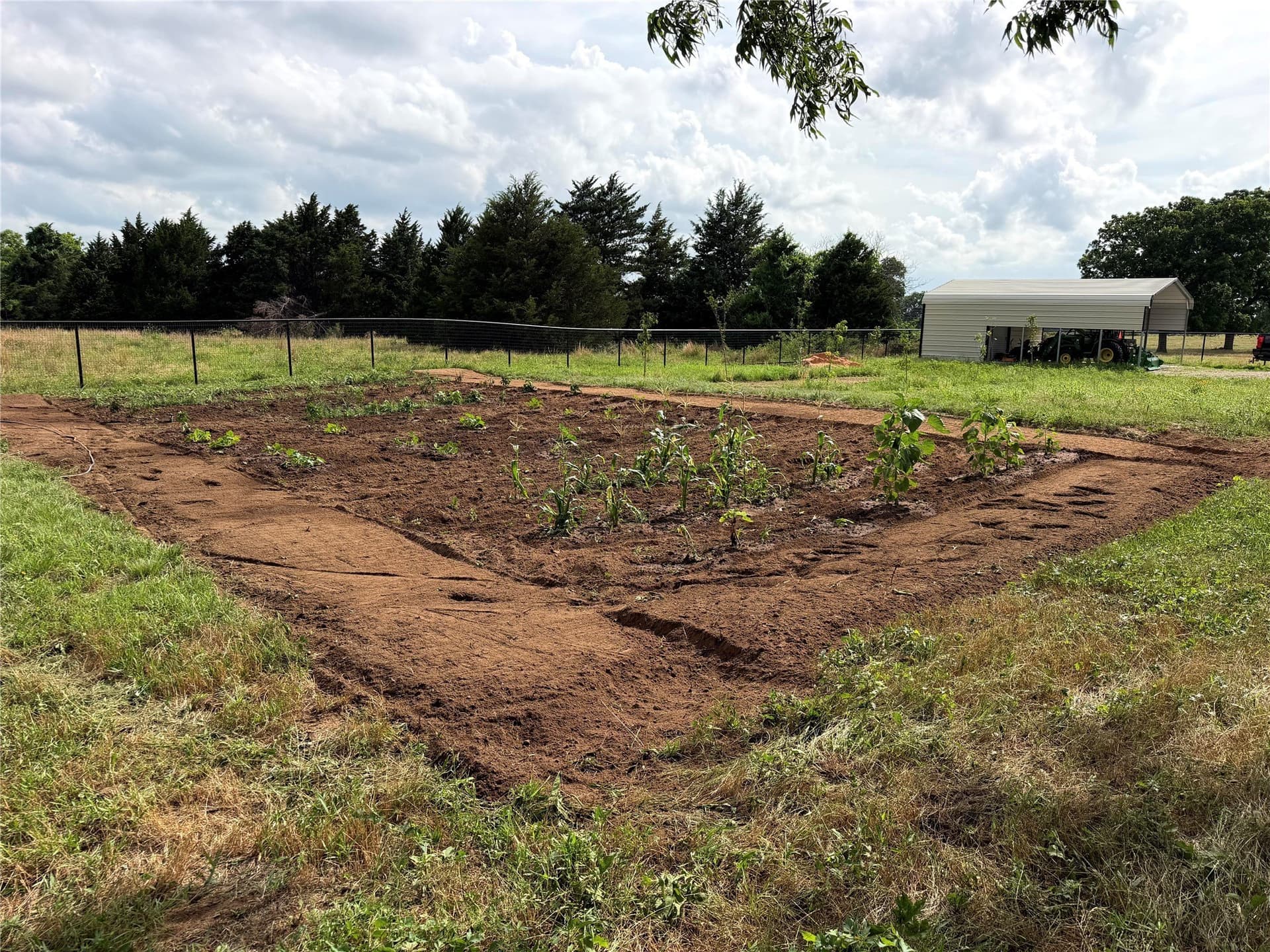 11 acres in Grayson County - photo 24