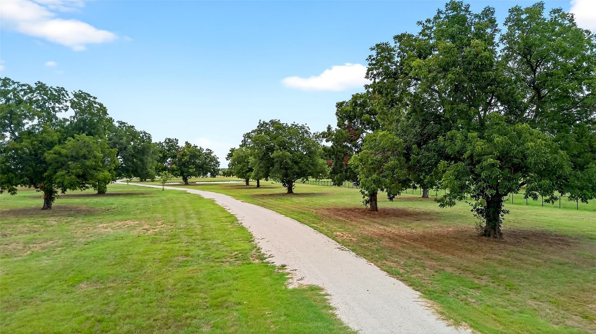 11 acres in Grayson County - photo 3