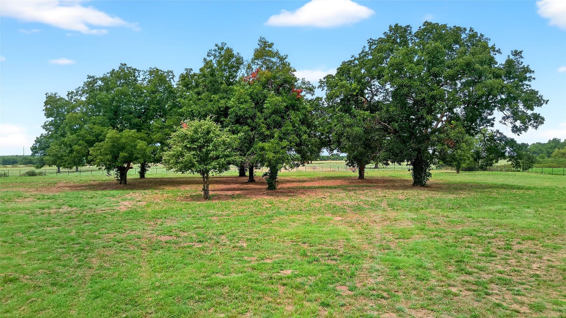 11 acres in Grayson County - photo 12
