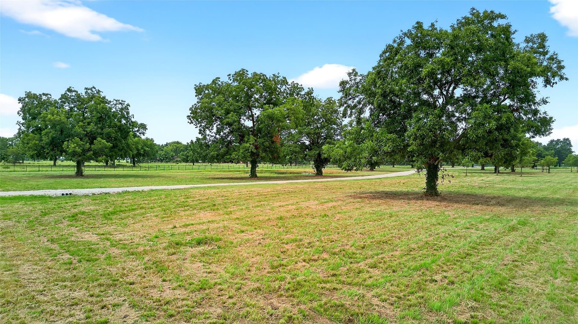 11 acres in Grayson County - photo 11