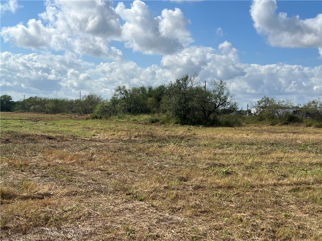 5.12 acres in San Patricio County gallery image 2