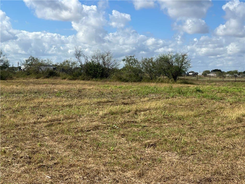 5.12 acres in San Patricio County gallery image 4
