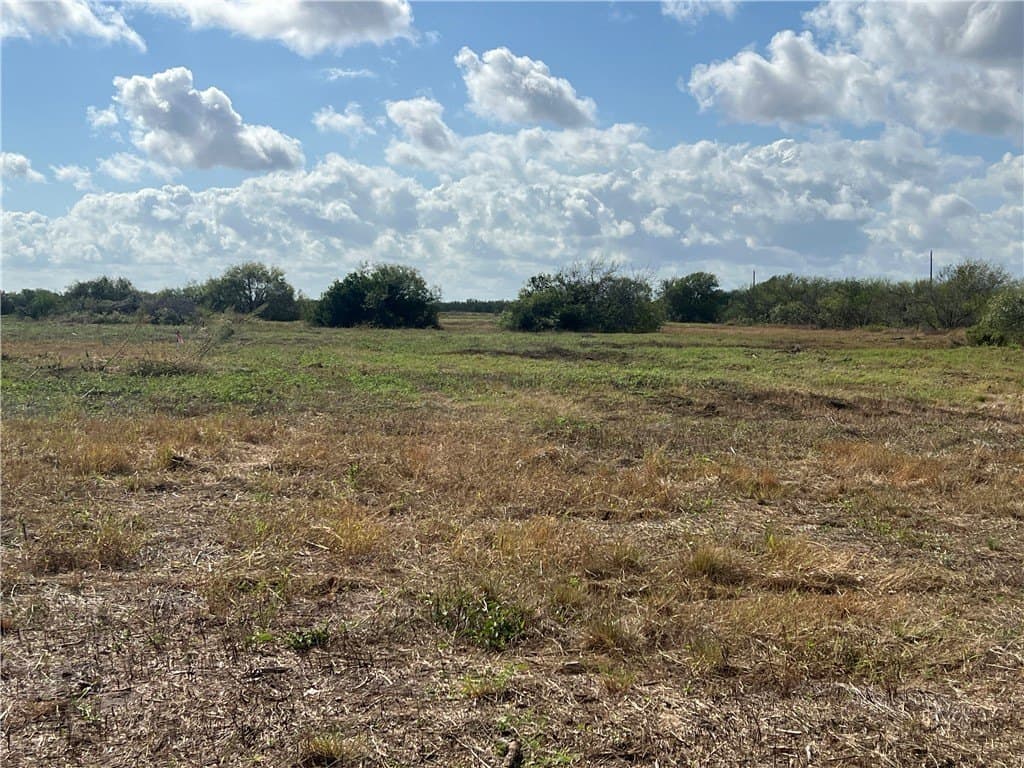 5.12 acres in San Patricio County gallery image 3