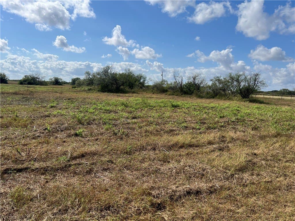 5.12 acres in San Patricio County - photo 6