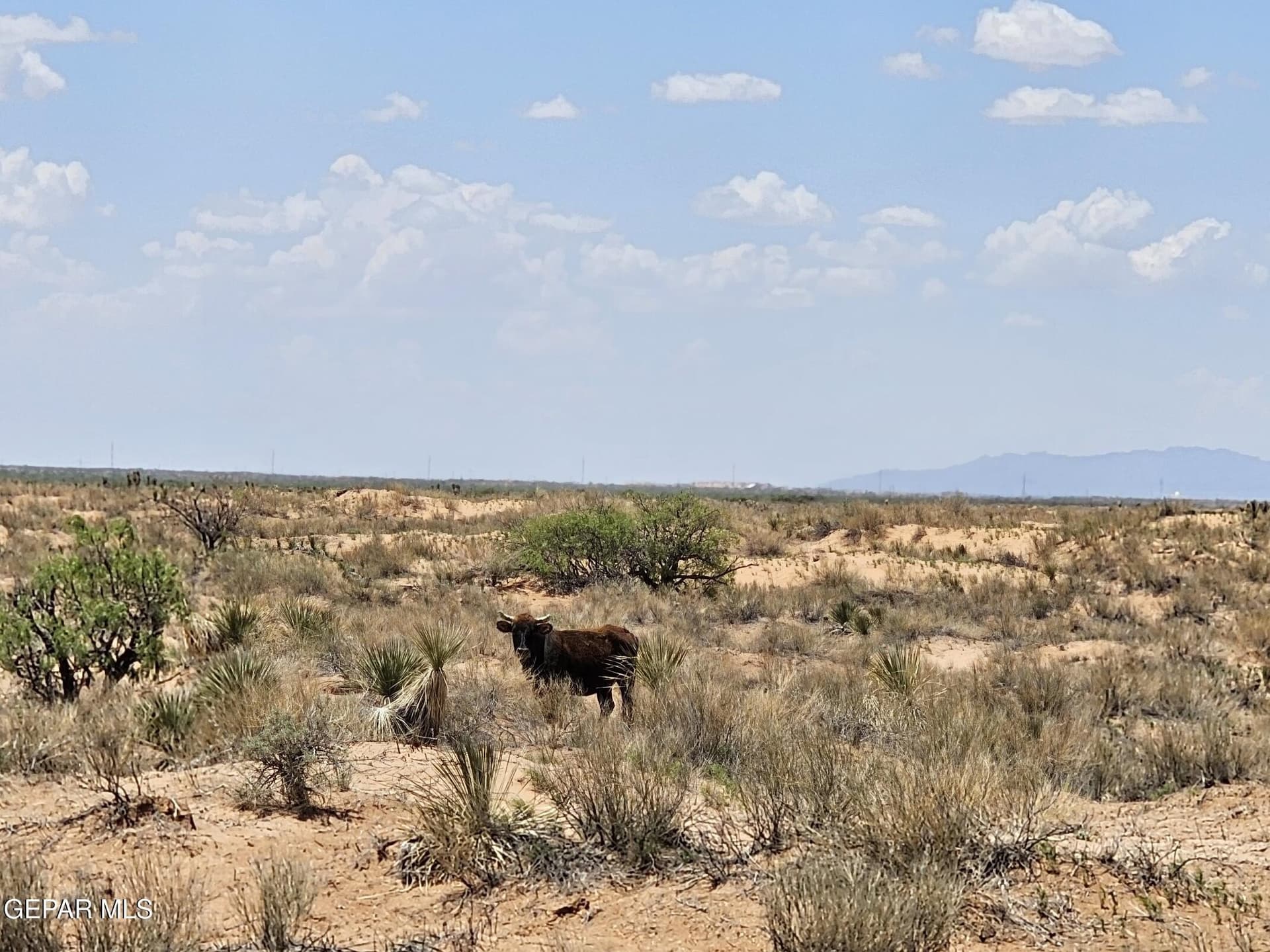 36 acres in Hudspeth County - photo 17