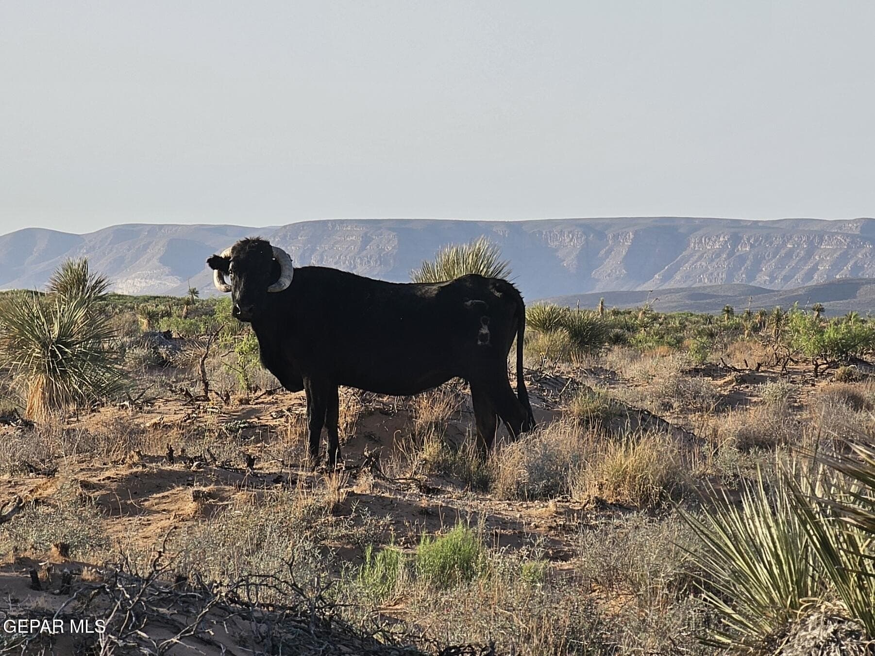36 acres in Hudspeth County - photo 16