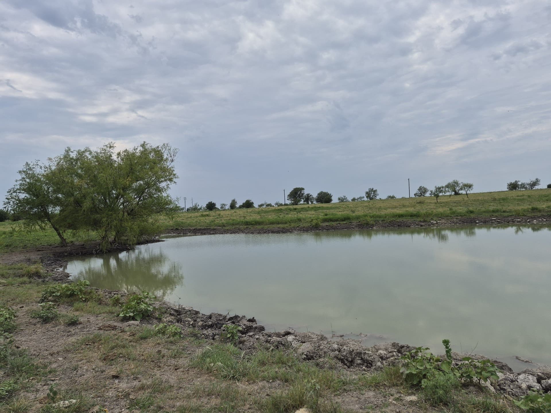 10.01 acres in Hamilton County - photo 11