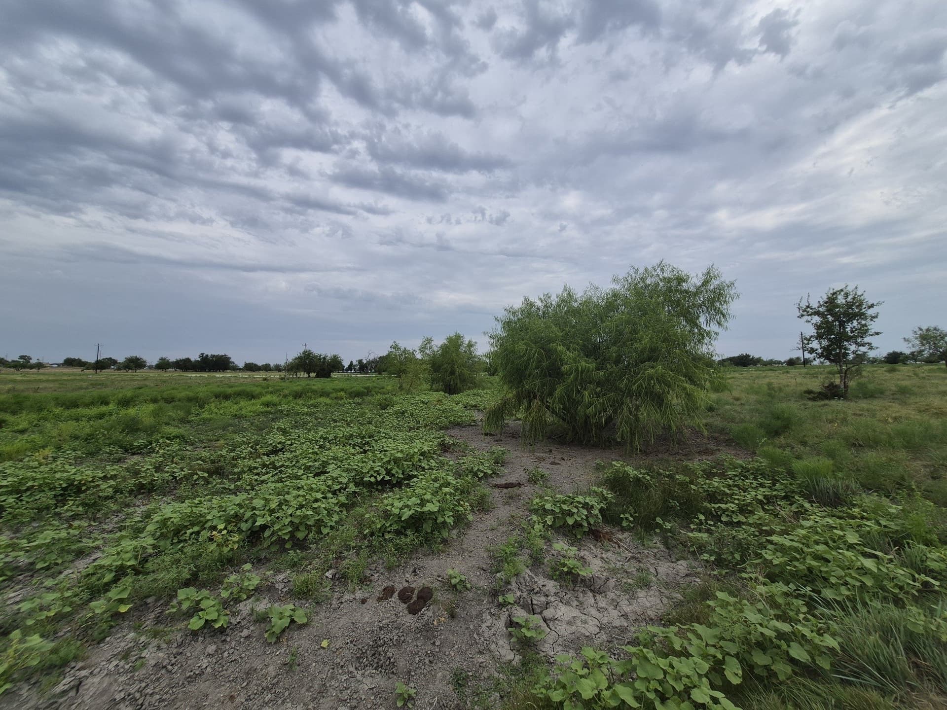 10.01 acres in Hamilton County gallery image 4